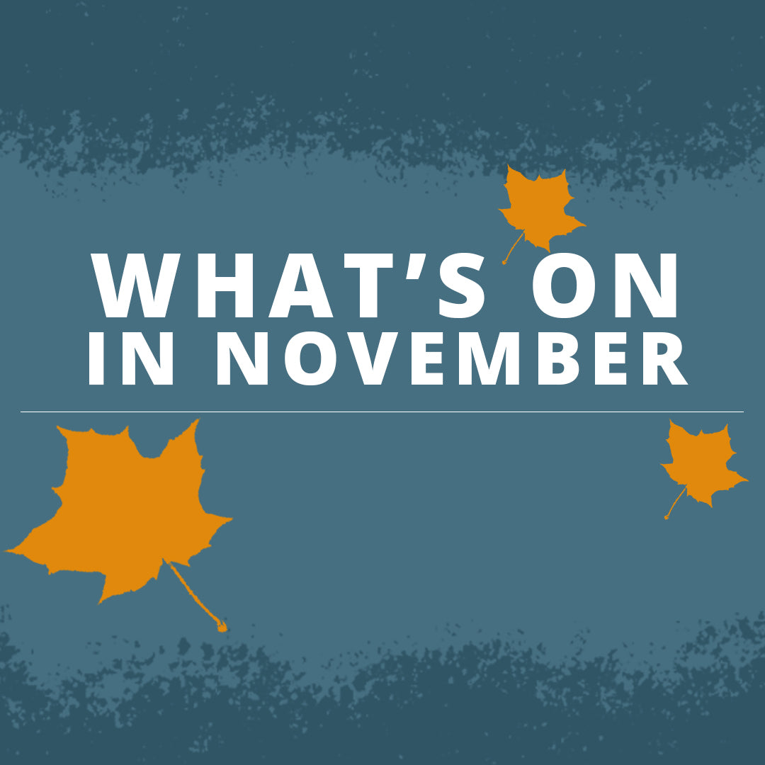 What’s On November