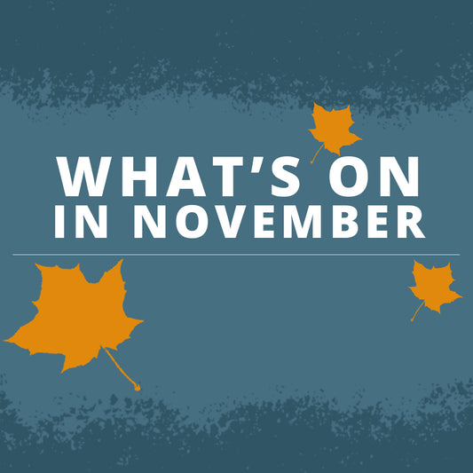 What’s On November